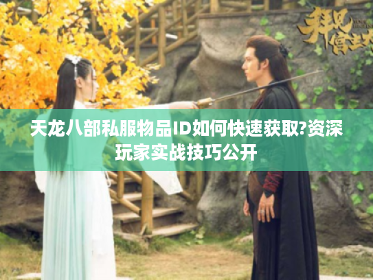 天龙八部私服物品ID如何快速获取?资深玩家实战技巧公开