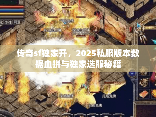 传奇sf独家开，2025私服版本数据血拼与独家选服秘籍