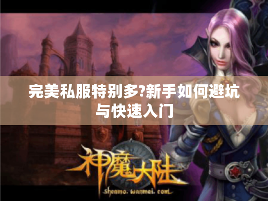 完美私服特别多?新手如何避坑与快速入门