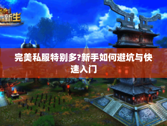 完美私服特别多?新手如何避坑与快速入门
