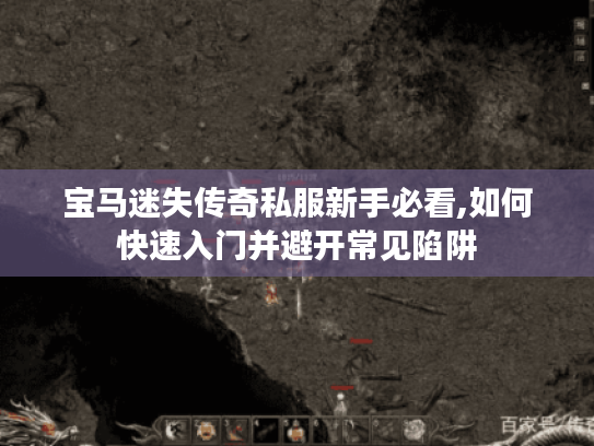 宝马迷失传奇私服新手必看,如何快速入门并避开常见陷阱