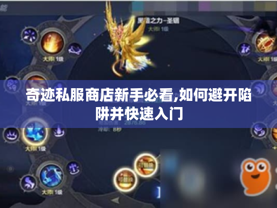 奇迹私服商店新手必看,如何避开陷阱并快速入门
