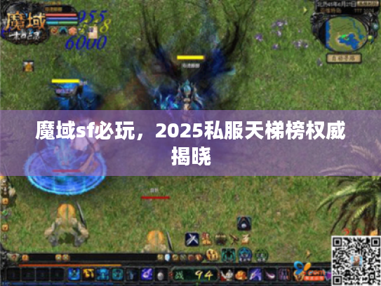 魔域sf必玩，2025私服天梯榜权威揭晓