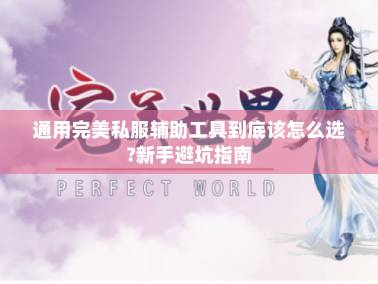通用完美私服辅助工具到底该怎么选?新手避坑指南