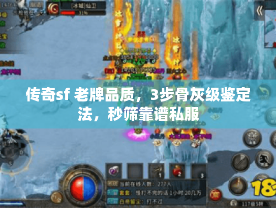 传奇sf 老牌品质，3步骨灰级鉴定法，秒筛靠谱私服