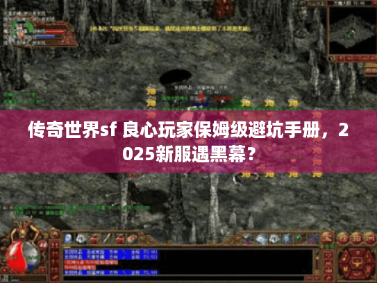 传奇世界sf 良心玩家保姆级避坑手册，2025新服遇黑幕？