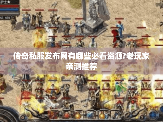 传奇私服发布网有哪些必看资源?老玩家亲测推荐