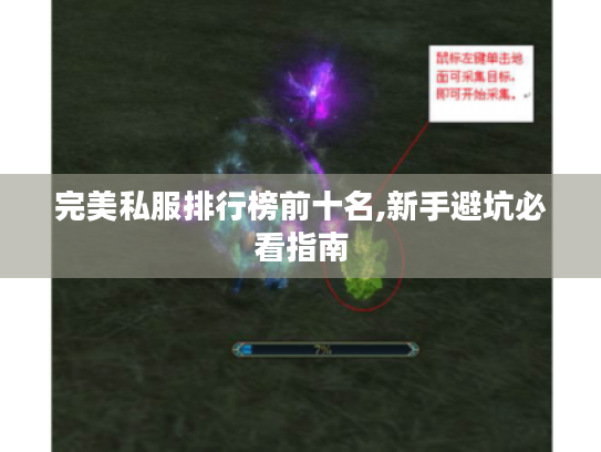 完美私服排行榜前十名,新手避坑必看指南