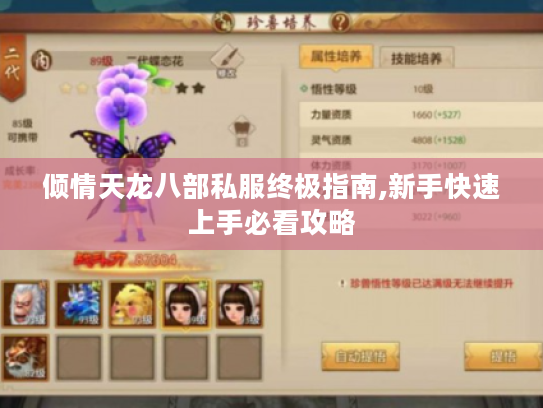 倾情天龙八部私服终极指南,新手快速上手必看攻略
