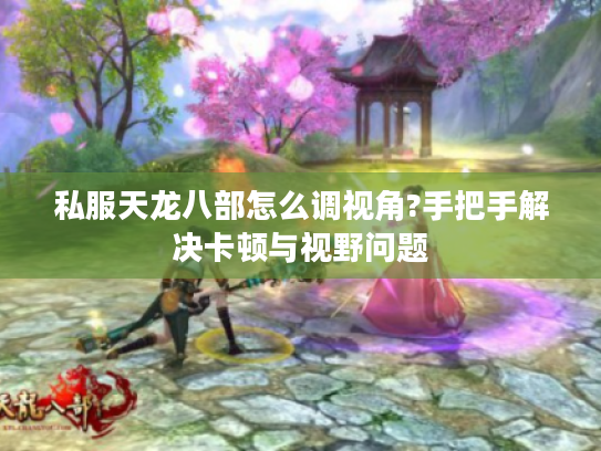 私服天龙八部怎么调视角?手把手解决卡顿与视野问题