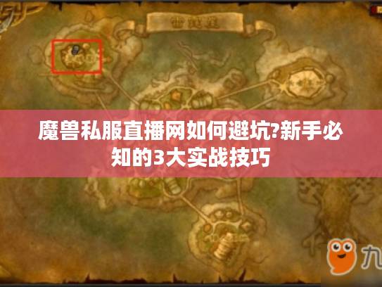 魔兽私服直播网如何避坑?新手必知的3大实战技巧