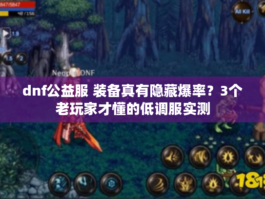 dnf公益服 装备真有隐藏爆率？3个老玩家才懂的低调服实测
