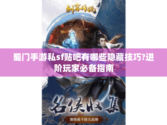 蜀门手游私sf贴吧有哪些隐藏技巧?进阶玩家必备指南