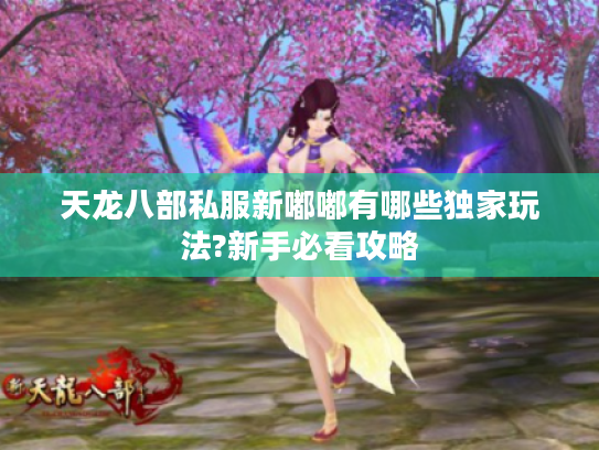 天龙八部私服新嘟嘟有哪些独家玩法?新手必看攻略