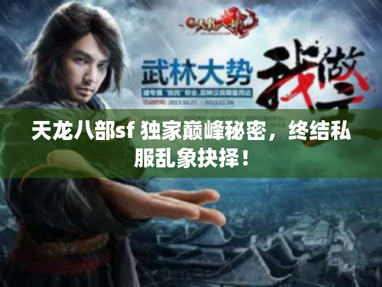 天龙八部sf 独家巅峰秘密，终结私服乱象抉择！