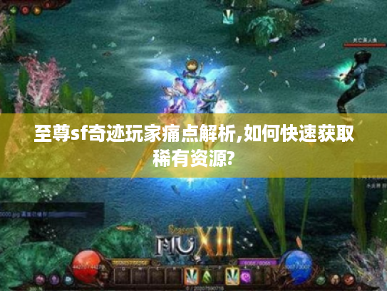 至尊sf奇迹玩家痛点解析,如何快速获取稀有资源?