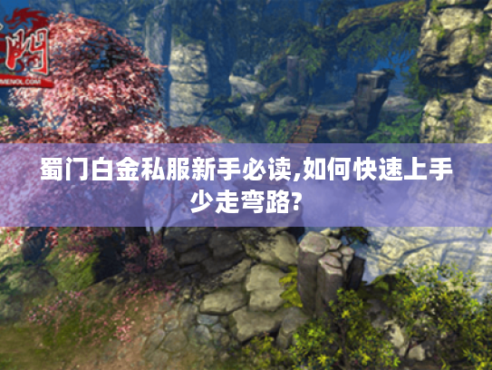 蜀门白金私服新手必读,如何快速上手少走弯路?