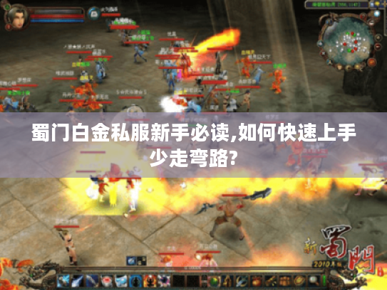 蜀门白金私服新手必读,如何快速上手少走弯路?