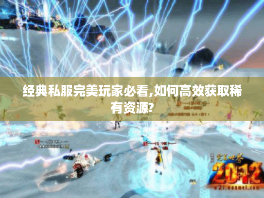 经典私服完美玩家必看,如何高效获取稀有资源?