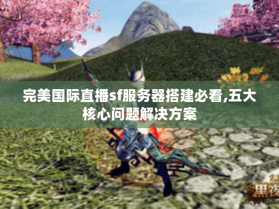 完美国际直播sf服务器搭建必看,五大核心问题解决方案