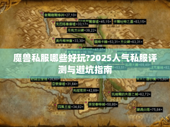 魔兽私服哪些好玩?2025人气私服评测与避坑指南