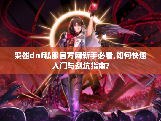 枭雄dnf私服官方网新手必看,如何快速入门与避坑指南?