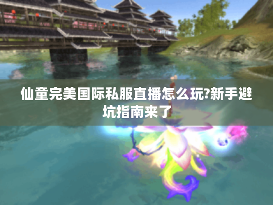 仙童完美国际私服直播怎么玩?新手避坑指南来了