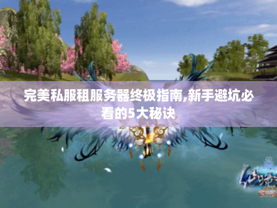 完美私服租服务器终极指南,新手避坑必看的5大秘诀