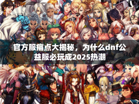 官方服痛点大揭秘，为什么dnf公益服必玩成2025热潮