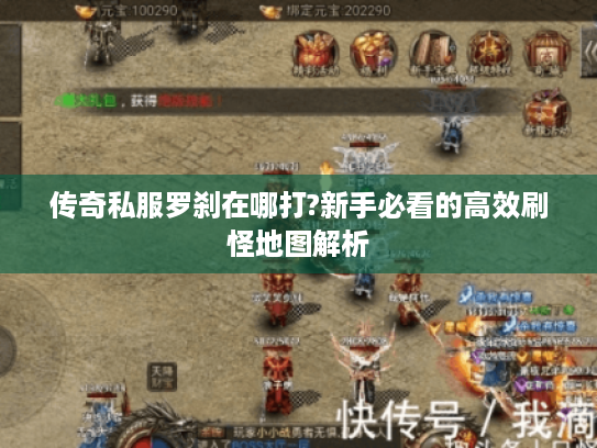 传奇私服罗刹在哪打?新手必看的高效刷怪地图解析