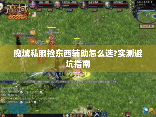 魔域私服捡东西辅助怎么选?实测避坑指南