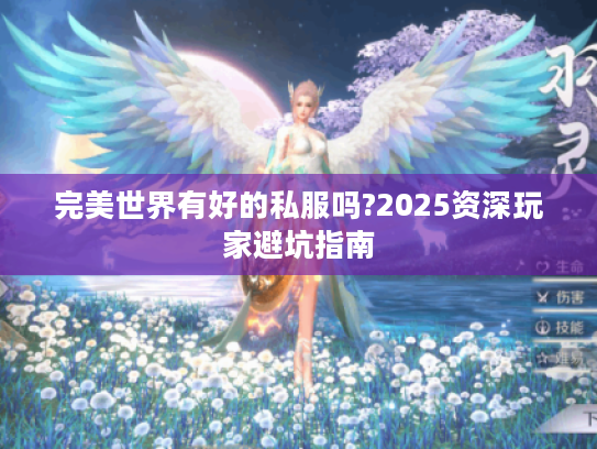 完美世界有好的私服吗?2025资深玩家避坑指南