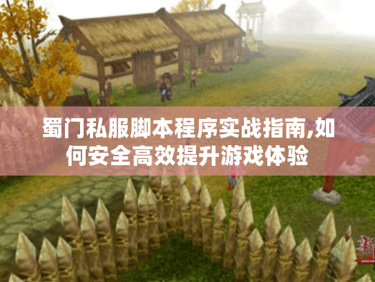 蜀门私服脚本程序实战指南,如何安全高效提升游戏体验