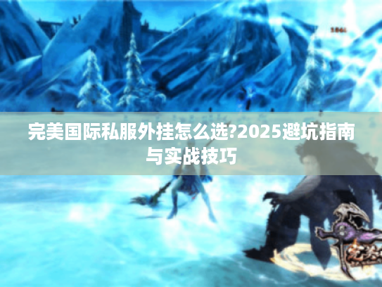 完美国际私服外挂怎么选?2025避坑指南与实战技巧