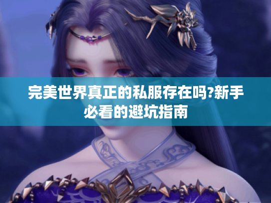 完美世界真正的私服存在吗?新手必看的避坑指南