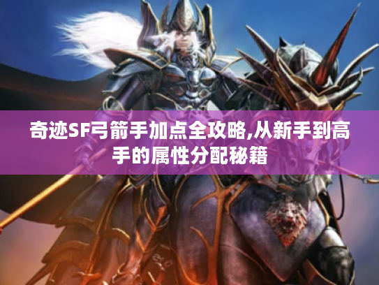 奇迹SF弓箭手加点全攻略,从新手到高手的属性分配秘籍
