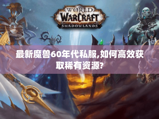 最新魔兽60年代私服,如何高效获取稀有资源?