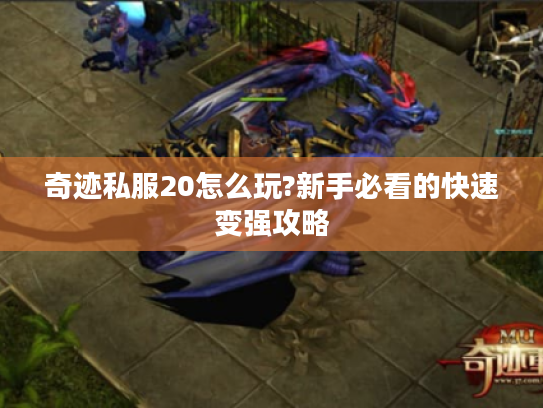 奇迹私服20怎么玩?新手必看的快速变强攻略