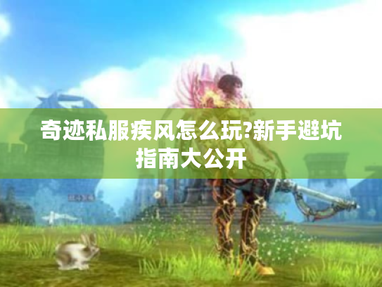 奇迹私服疾风怎么玩?新手避坑指南大公开