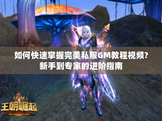 如何快速掌握完美私服GM教程视频?新手到专家的进阶指南