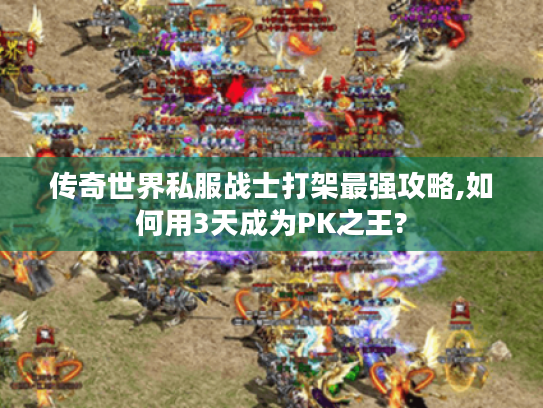 传奇世界私服战士打架最强攻略,如何用3天成为PK之王?