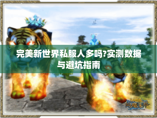 完美新世界私服人多吗?实测数据与避坑指南