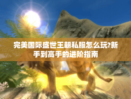 完美国际盛世王朝私服怎么玩?新手到高手的进阶指南