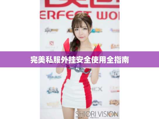 完美私服外挂安全使用全指南
