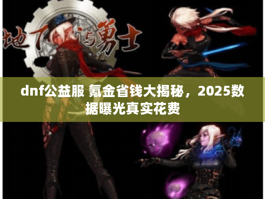 dnf公益服 氪金省钱大揭秘，2025数据曝光真实花费