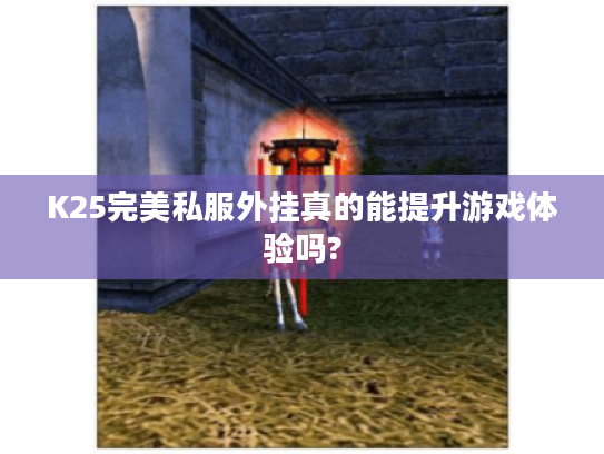 K25完美私服外挂真的能提升游戏体验吗?