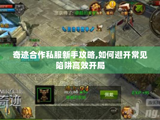 奇迹合作私服新手攻略,如何避开常见陷阱高效开局