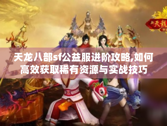 天龙八部sf公益服进阶攻略,如何高效获取稀有资源与实战技巧