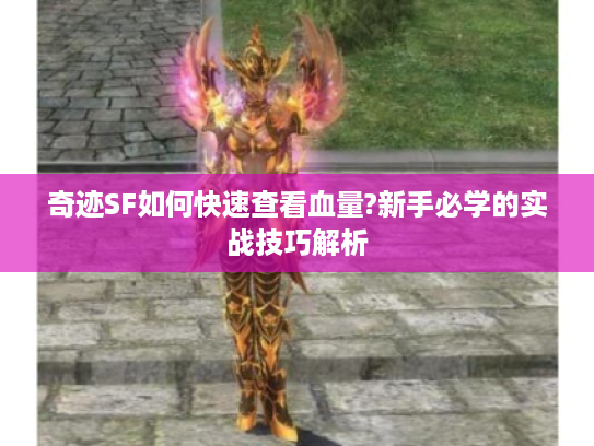 奇迹SF如何快速查看血量?新手必学的实战技巧解析