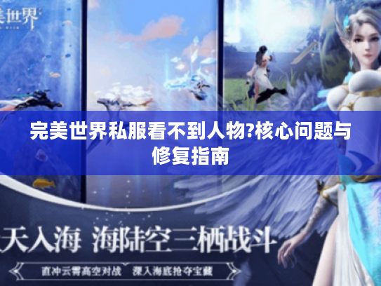完美世界私服看不到人物?核心问题与修复指南